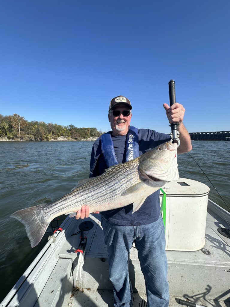 striper guide Tennessee river